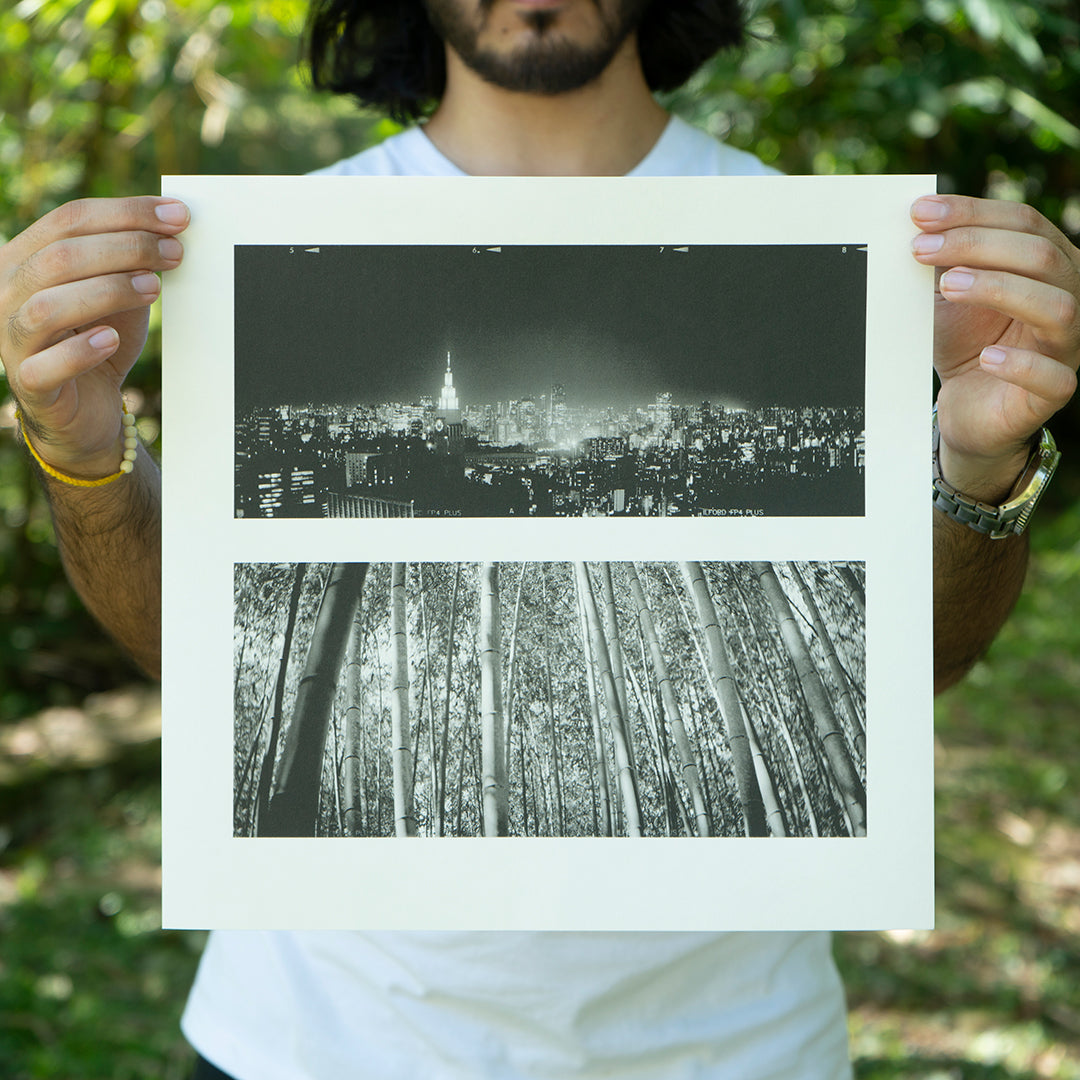 "Bamboo Forest, Concrete Jungle" Print